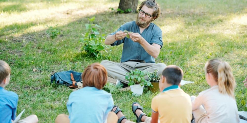 Fotosíntesis Para Niños: La Mejor Manera De Entenderla